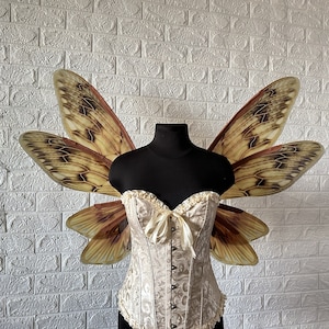 Brown cicada fairy wings, Insect cosplay for adult, Wings for costume, Moth wings