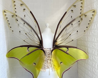 Large adult butterfly wings, luna Moon moth wings, green cicada wings, wings Photo Prop, forest fairy wings