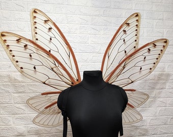 Cicada wings, Moth wings, Fairy wings, Wings for costume, Fairy cosplay