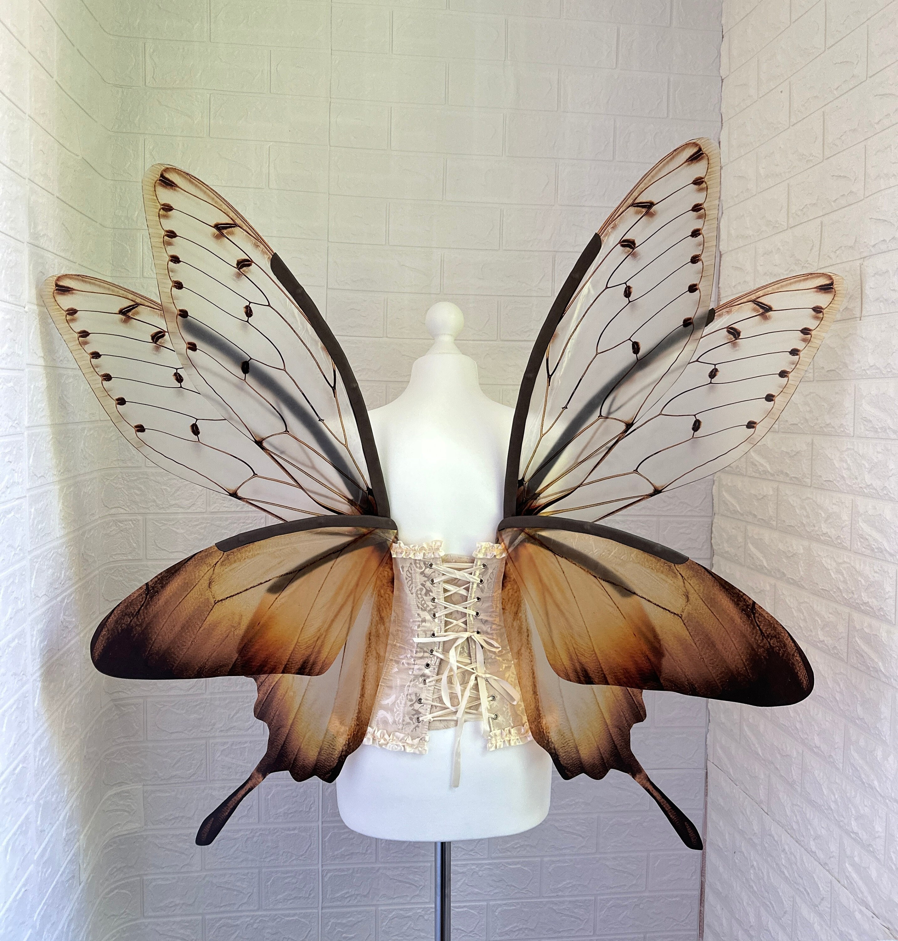 Brown butterfly cicada wings, Moth wings, Adult fairy wings