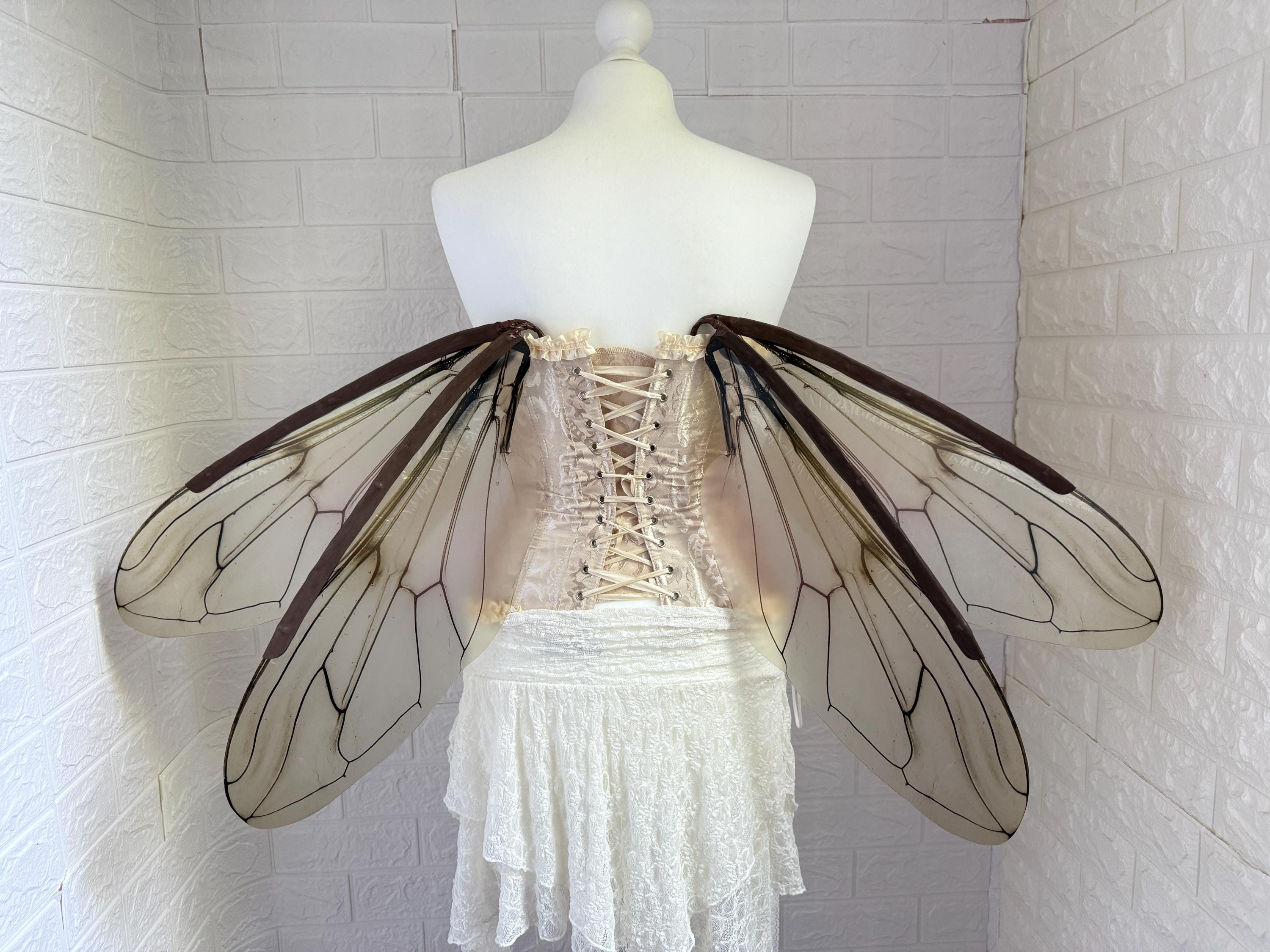 Minimalist Fairy Wings, Transparent Insect-Inspired Wings, bee wings