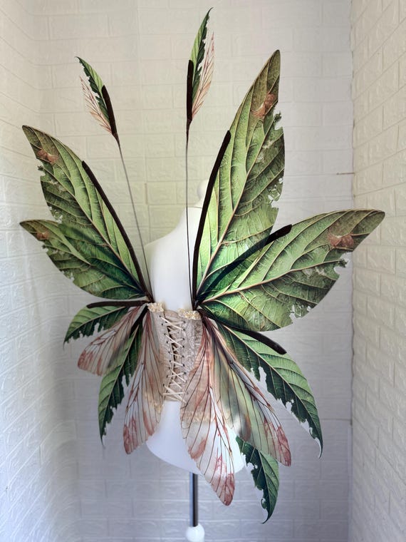 Mero Wings Forest Tree Pod 特大 メロウイングス Mero Wings Forest Tree Pod 特大 メロウイングス - メルカリ