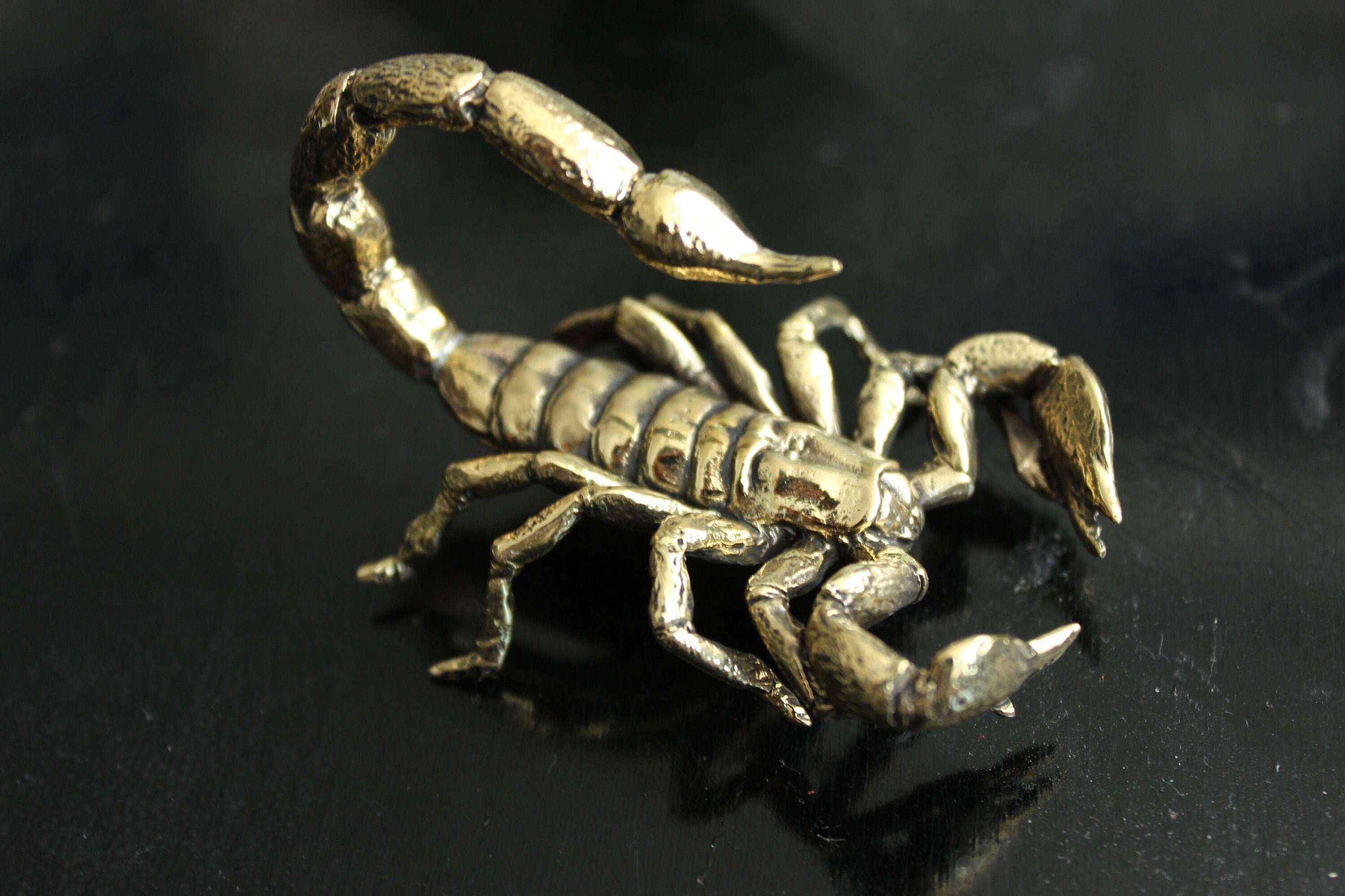 Scorpion figurines Scorpio statue Etsy