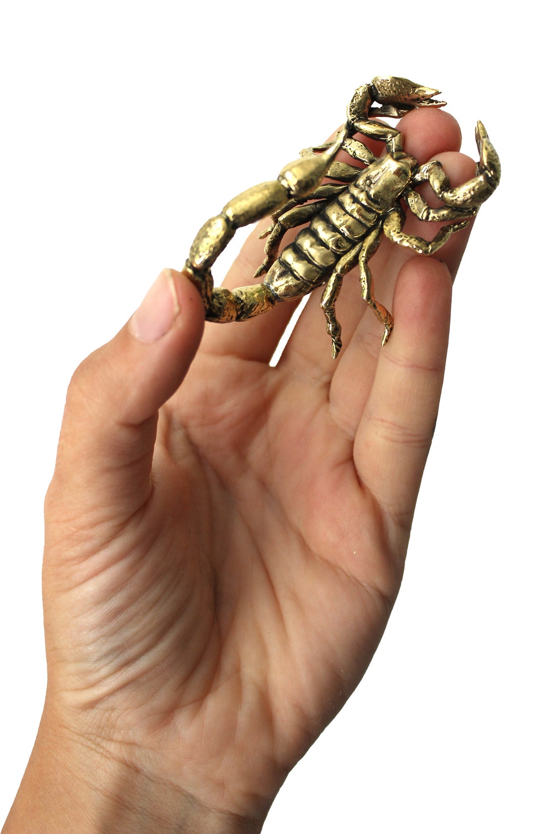 Scorpion figurines Scorpio statue Etsy