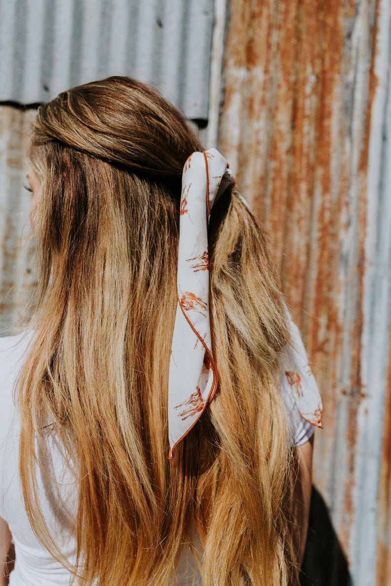 Texas Longhorn Chiffon Scarf | 20" Square Scarf image 6