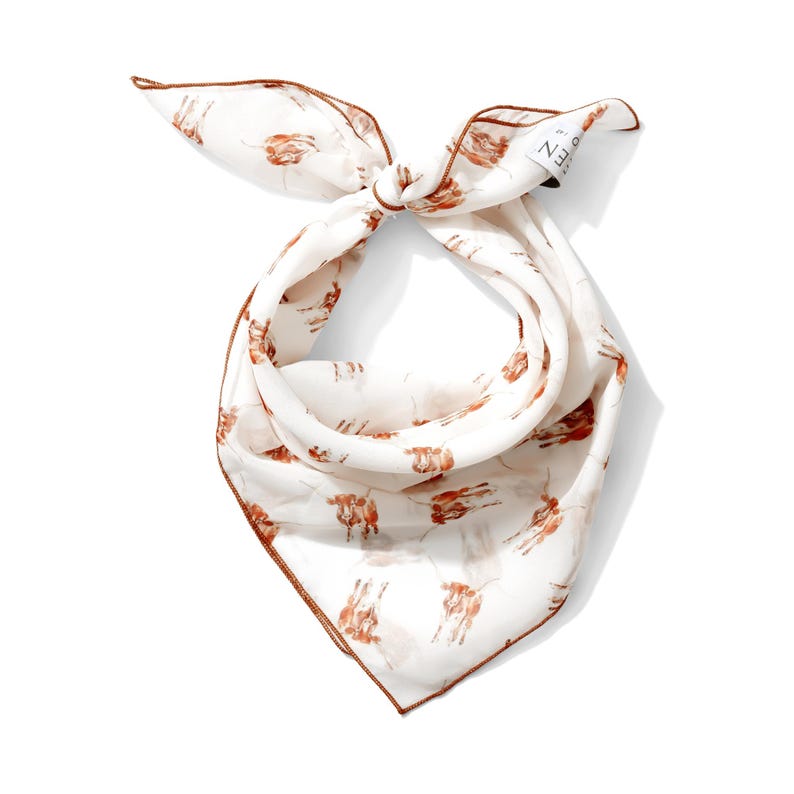 Texas Longhorn Chiffon Scarf | 20" Square Scarf image 1