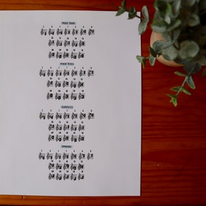 Peut inclure: Une feuille de papier blanche avec des partitions musicales, comprenant des accords majeurs, mineurs, augmentés et diminués. Le texte est en noir, et le papier est sur une surface en bois. Une petite plante est en arrière-plan.
