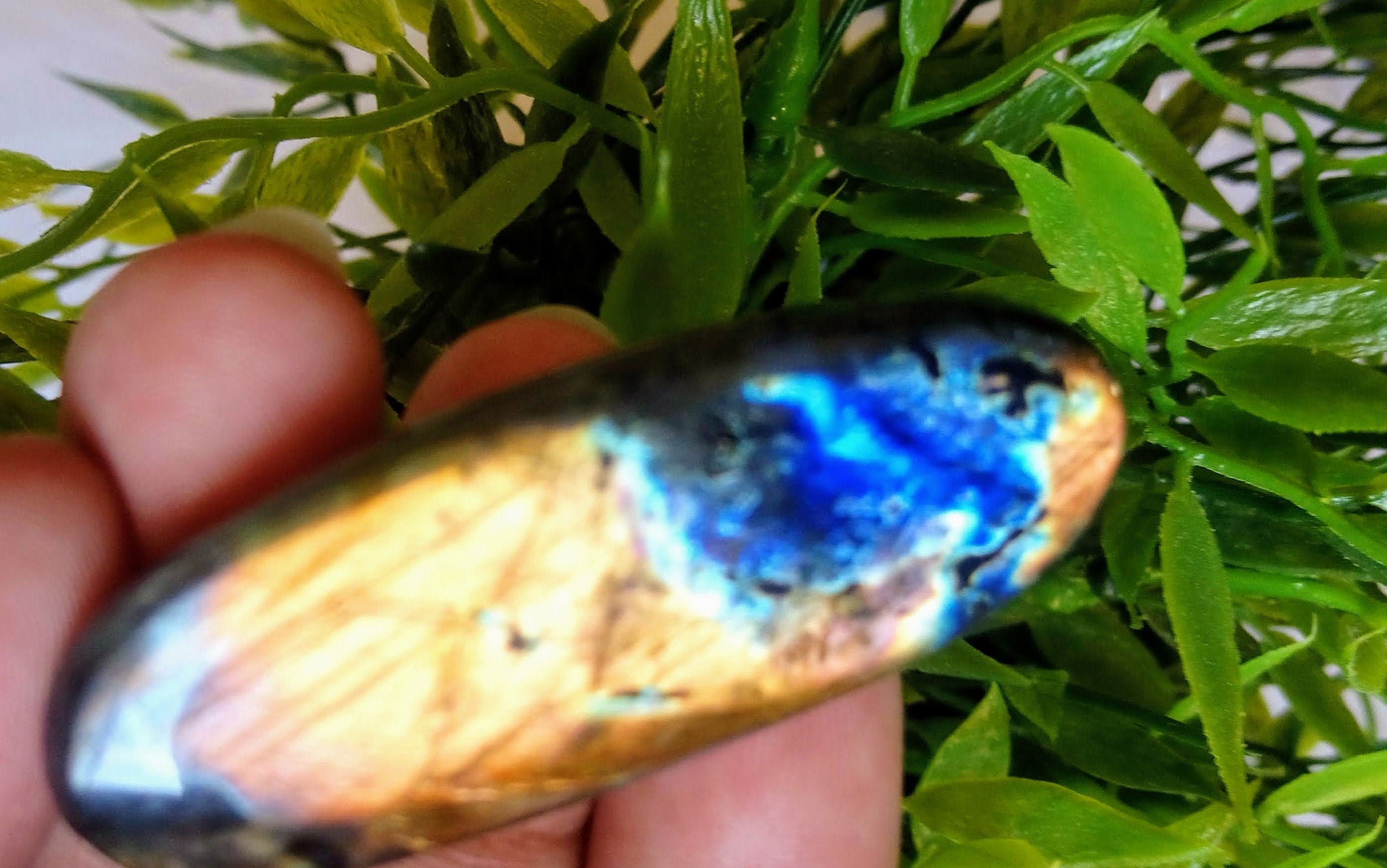 Labradorite 24, 50Gr -Orange Dorée et Bleue -Galet Ovale Allongé