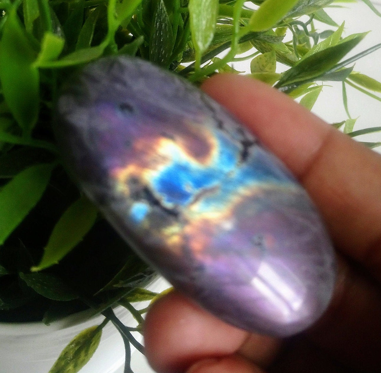 Labradorite 49, 10Gr -Violette et Bleue Jaune - Galet Allongé