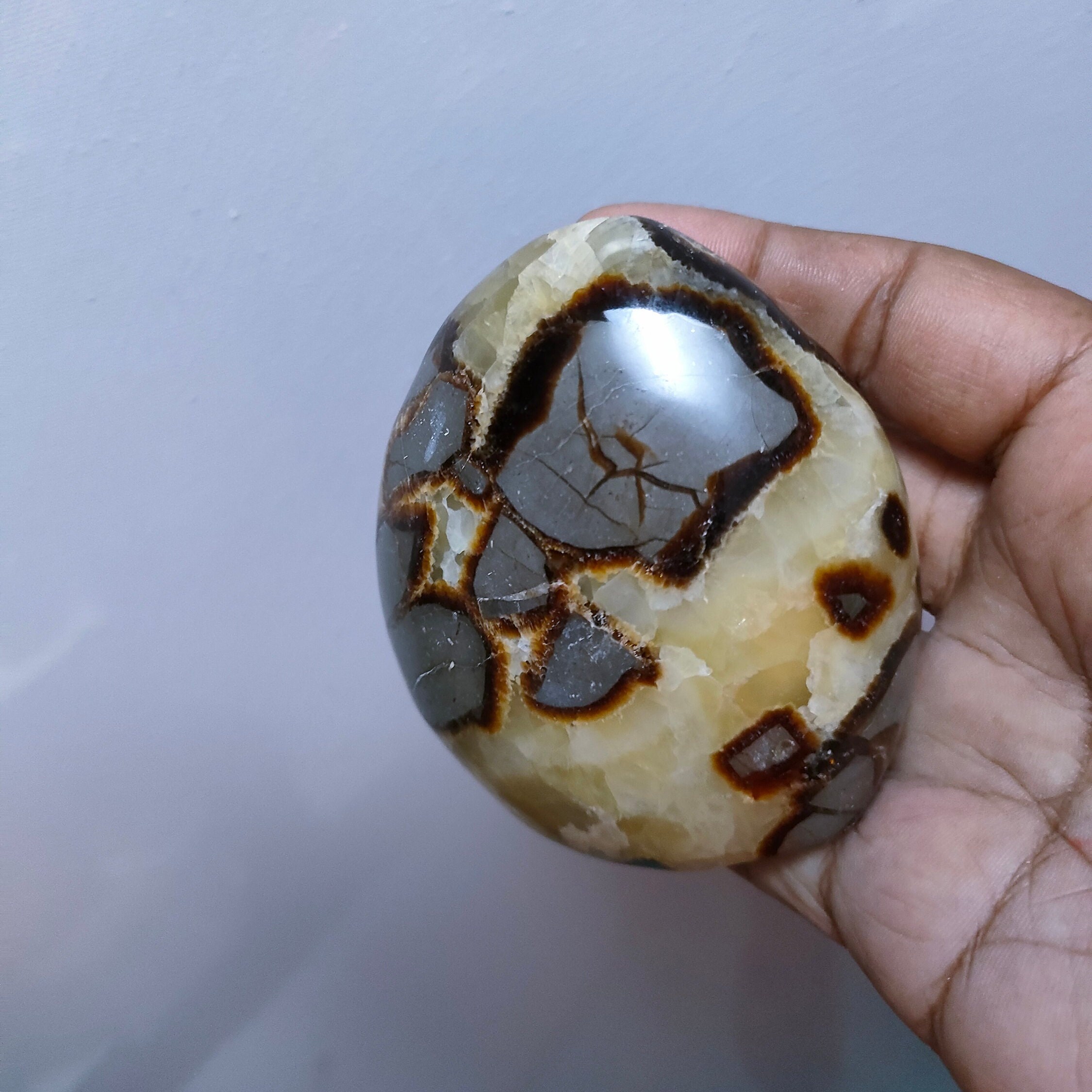 Septaria 404Gr - Jaune et Marron Mini Bloc à Poser