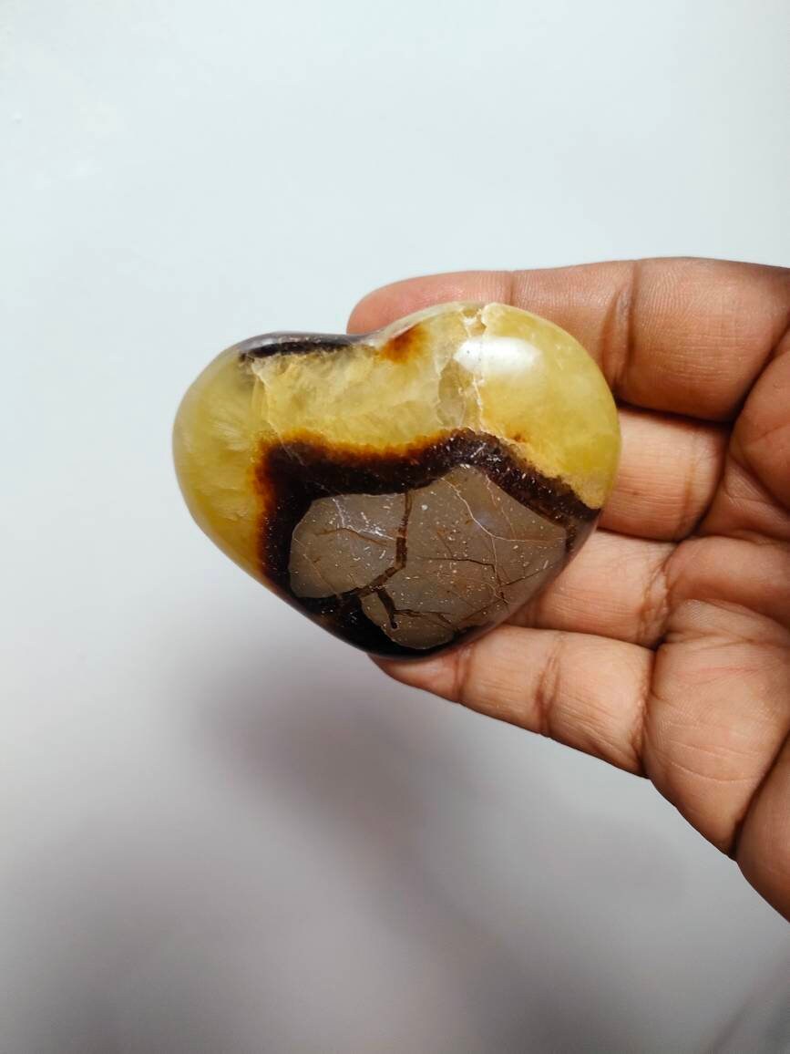 Septaria 146, 40Gr - Jaune et Marron Cœur mm