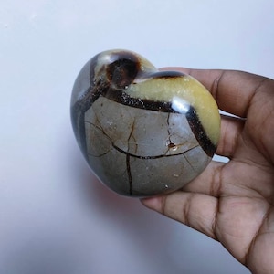 Septaria 463.60Gr - yellow and brown - giant heart GM