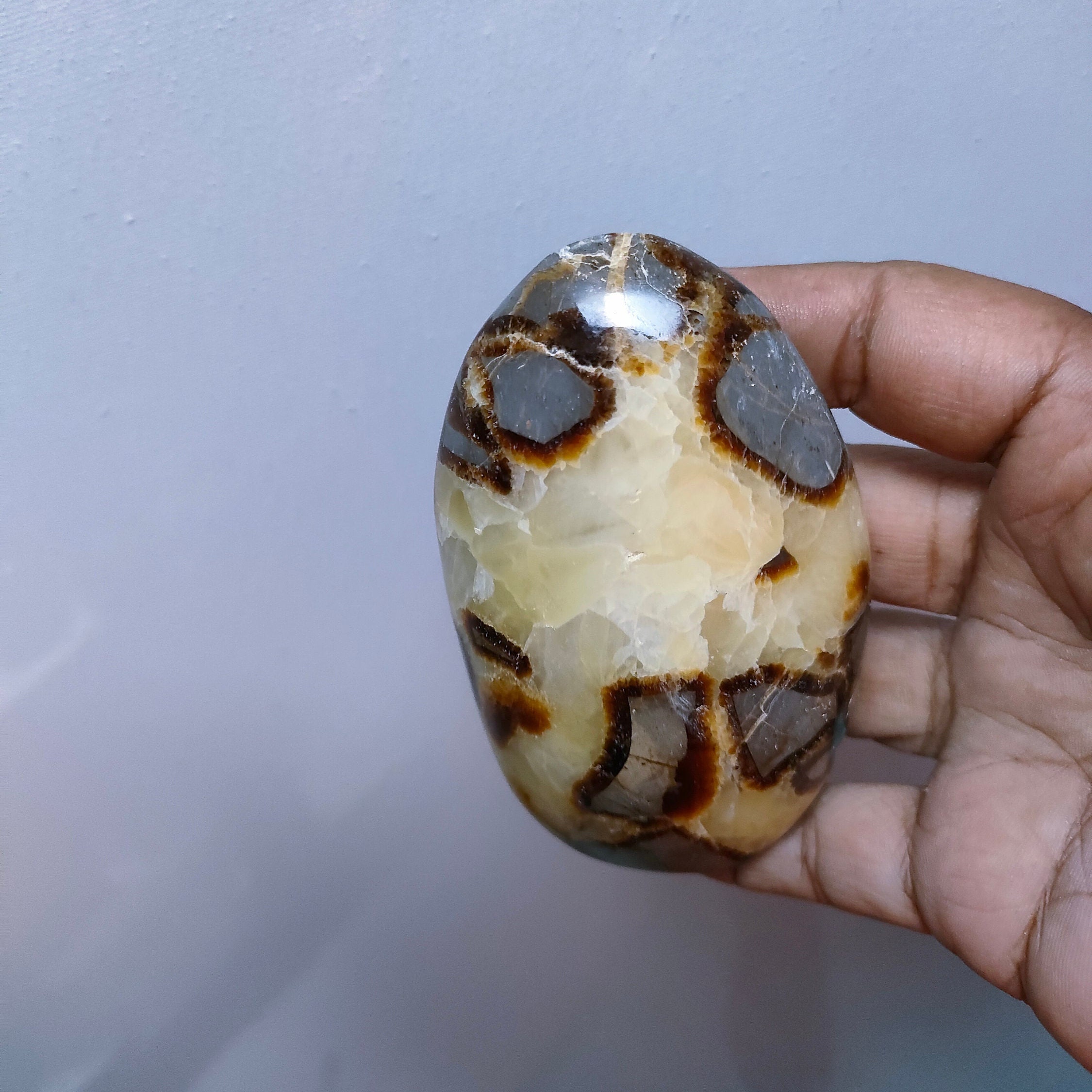 Septaria 309, 10Gr - Jaune et Marron -Mini Bloc à Poser