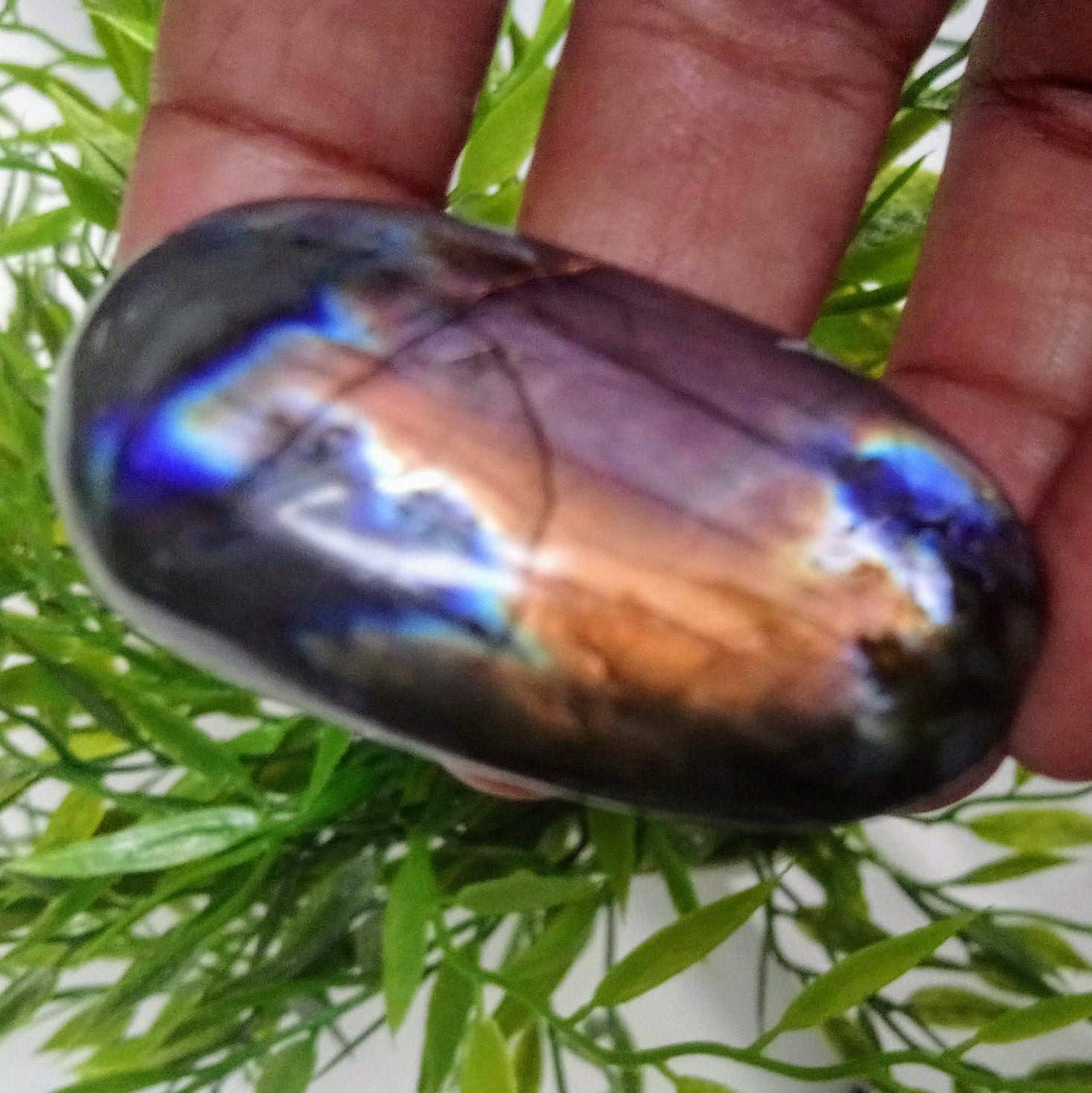 Spectrolite 46, 50Gr-Orange Dorée et Bleue - Galet Ovale Allongé