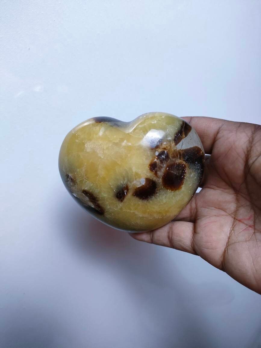 Septaria 463, 60Gr - Jaune et Marron Cœur Géant Xl