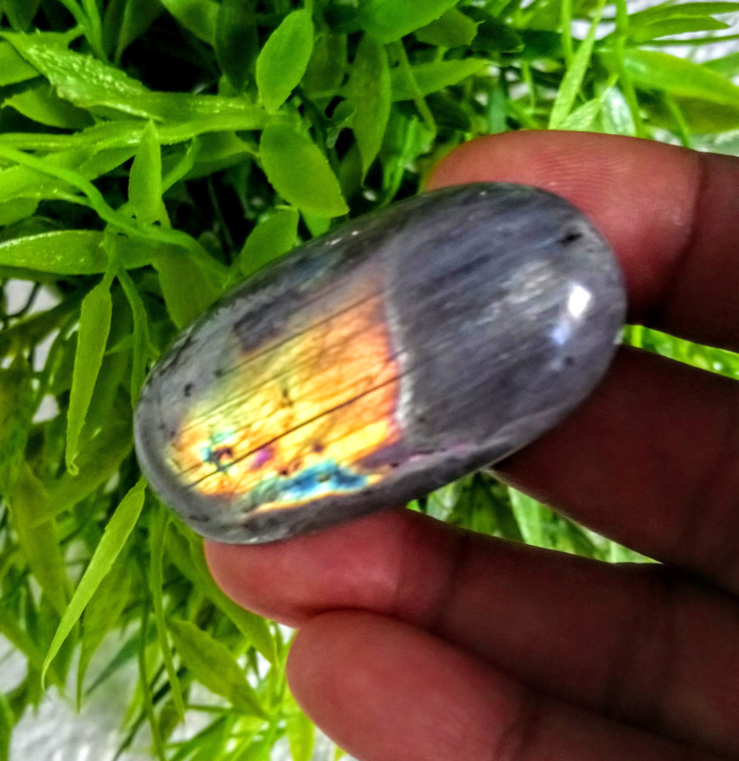 Labradorite 40, 50Gr - Vert Jaune et Orange Dorée Galet Ovale