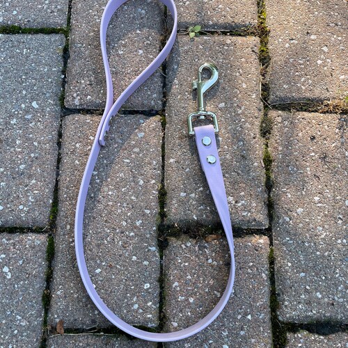 Biothane Leash Etsy