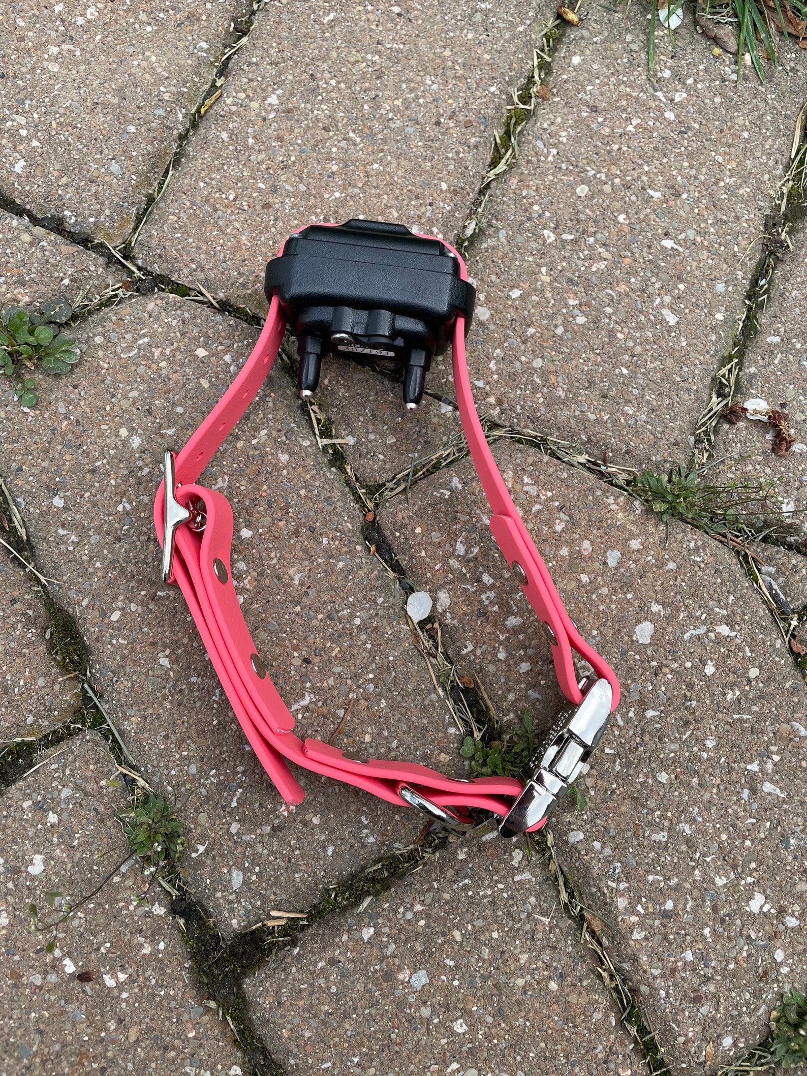 Biothane Ecollar Strap Etsy UK