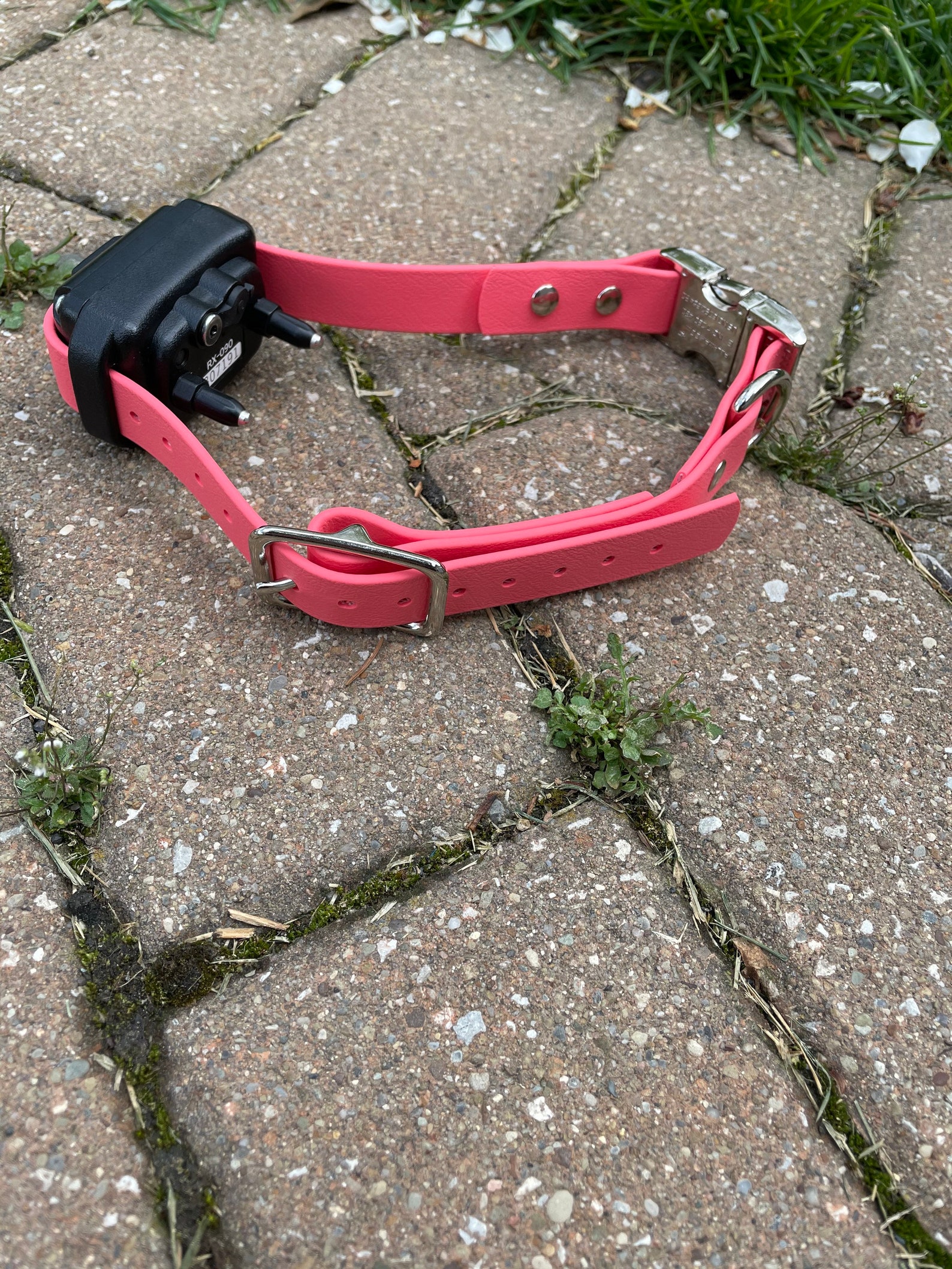 Biothane Ecollar Strap Etsy