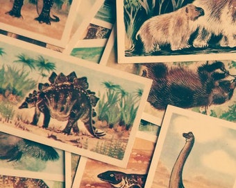 Selection of 10 Vintage Tea/Cigarette Cards from the 1960's 'Prehistoric Animals'. Ideal for all your Crafting Ideas!