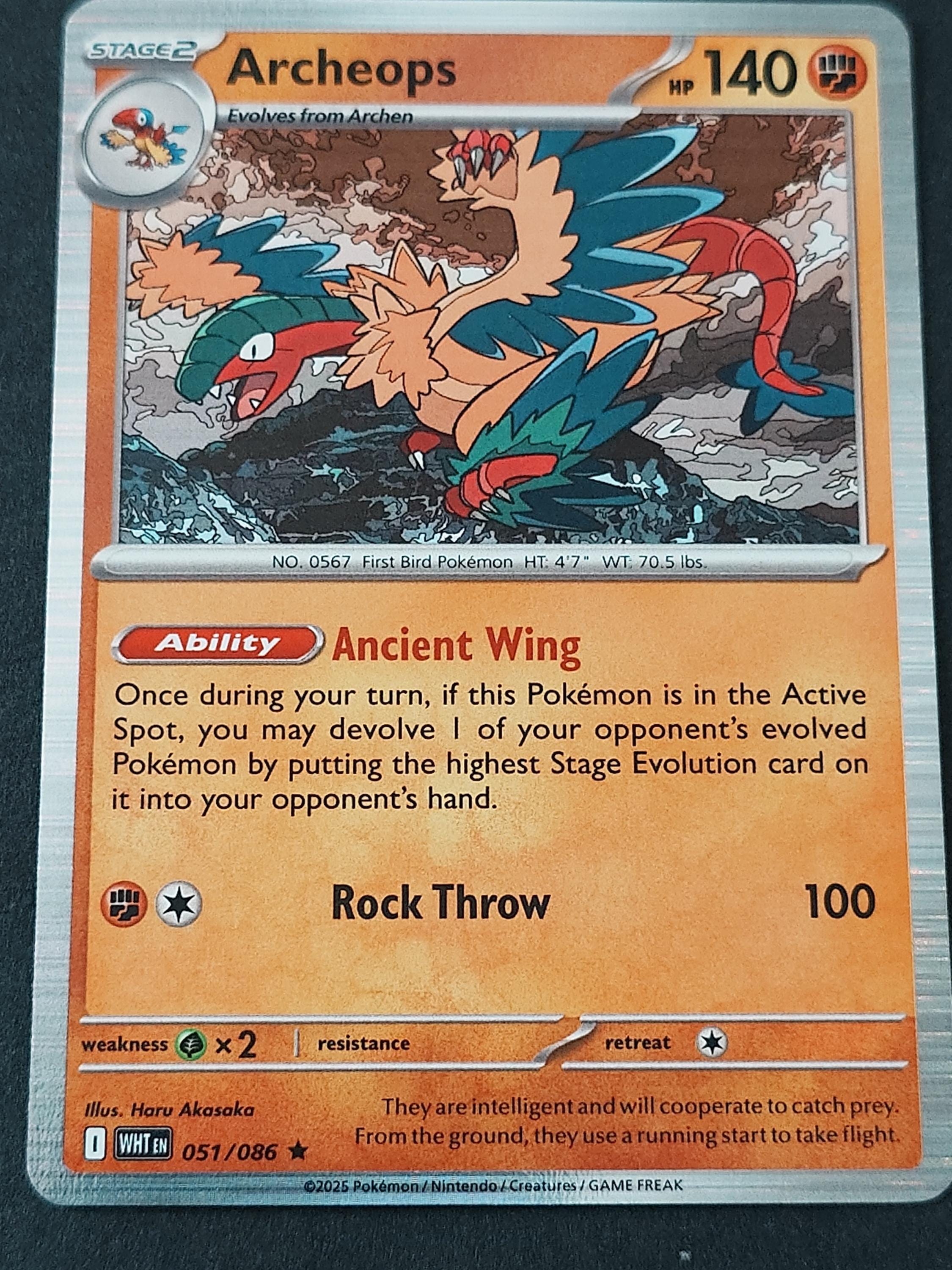Archeops - Etsy UK