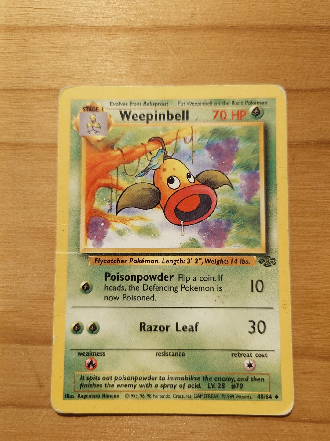 1995 weepinbell pokemon card Victreebel Pokemon Jungle No Symbol Holo #14 PSA 8 main image 1