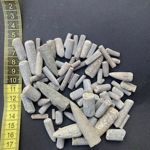 Wonderful Selection of Five Vintage Partial Belemnite Fossils (Ancient Squid), Millions of years old!