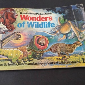 Vintage Ephemera Brooke Bond Theekaarten Volledig Album Compleet, Wonder's Of Wildlife, 50 Kaarten, C 1960's!