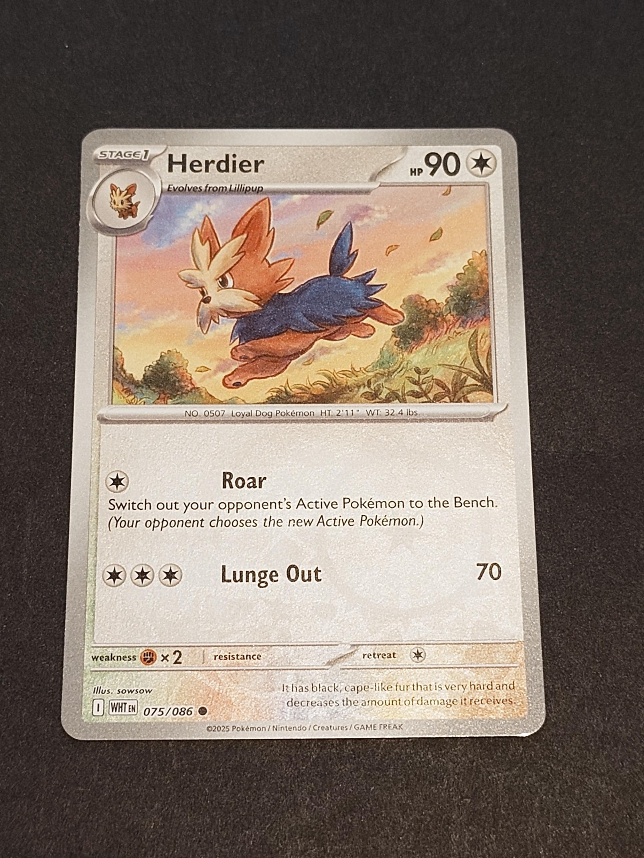 Herdier - Etsy