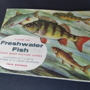 Vintage Ephemera Brooke Bond Tea Cards Volledig album compleet, Zoetwatervis, 50 kaarten, C 1960's
