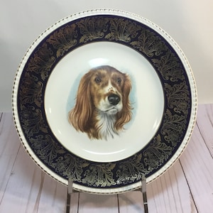 May include: A white ceramic plate with a gold and blue border featuring a detailed floral design. The center of the plate has a painted image of a brown and white dog with a blue background.