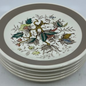 May include: Set of six white ceramic plates with a brown rim and a floral design in shades of green, brown, yellow, and blue.