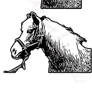 Può includere: Illustrazione in bianco e nero di due cavalli con briglie. I cavalli sono rivolti a sinistra e le loro teste sono inclinate verso il basso.