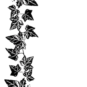Ivy Vine pozostawia żałobę kondolencje natura SVG Studio 3 sylwetka plik Cameo kreślenie JPEG PNG