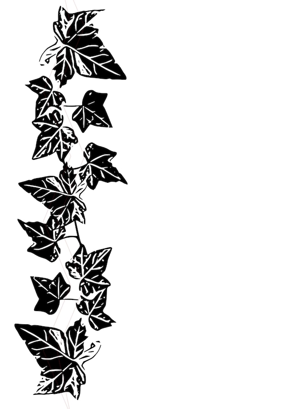 Efeu Ranke Bltter Trauer Beileid Natur SVG Studio 3 Silhouette Cameo Datei  Plotten JPEG PNG - Etsy.de