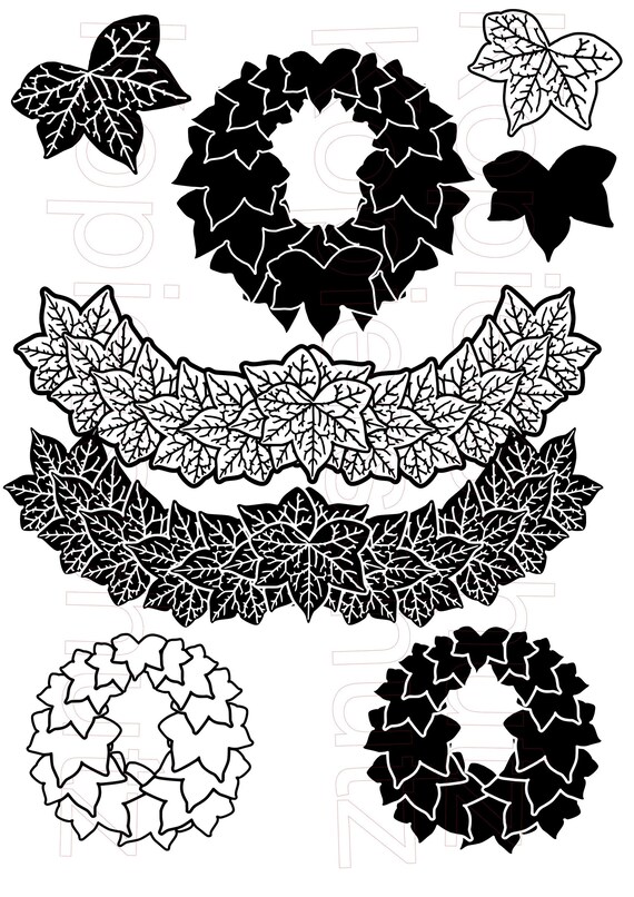 efeu goldheart kaufen Efeu 'Goldheart' - Hedera helix Goldheart main image 0