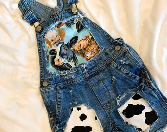 12 month overalls girl