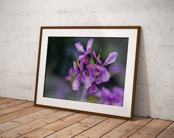 Fine Art, Purple Flowers, Close Up Nature Photography, Printable Photo