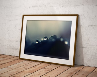 Digital Download, Raindrops, Macro Nature Photography, British Countryside, Fine Art