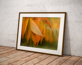 Digital Download, Orange Autumn Leaves, Nature Photography, Printable Photo