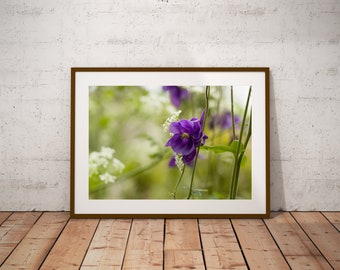 Fine Art, Purple Flower, Macro Nature Photography, Printable Photo