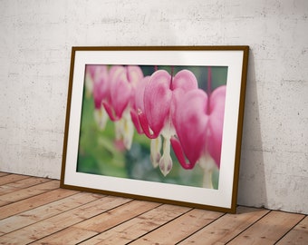 Bleeding Heart Flower Macro Photography Print, Botanical Cottagecore Wall Art (Digital Download)