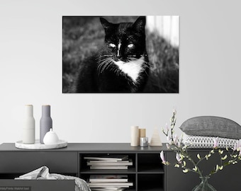 Black and White Tuxedo Cat Print, Minimalist Pet Wall Art (Digital Download)