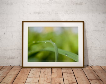Fine Art, Raindrop Photograph, Macro Nature Photography, Printable Photo