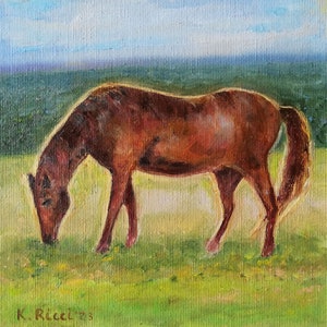 Impasto Horse Painting: Equestrian Art, Farm Animal Oil on Canvas (6x6)