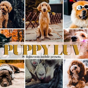 8 predefinições de cachorrinhos | Predefinições para cães, patas de cachorro, animais de estimação, amigos peludos, predefinições de pele, estilo de vida do Blogger, predefinições do Instagram, Filtro Perro