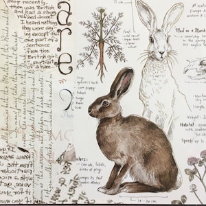 Papel para scrapbooking, papel vitela, efímeras de diario