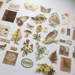 May include: A selection of vintage paper ephemera featuring butterflies, birds, flowers, an owl, and botanical illustrations. The colour scheme is soft, with muted browns, beiges, and yellows. Small labels and a book are also present.