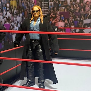 WWE Elite Custom Bloodline Solo Sikoa Joseph Yokozuna Fatu Mattel NXT  Smackdown -  UK