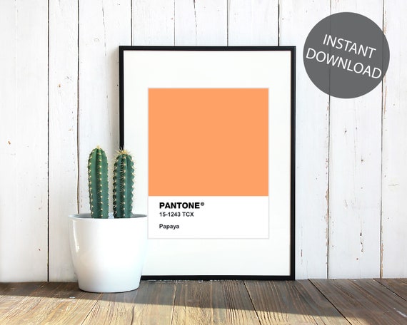 Pantone Art Print Pantone Wall Art Pantone Printable Wall Etsy